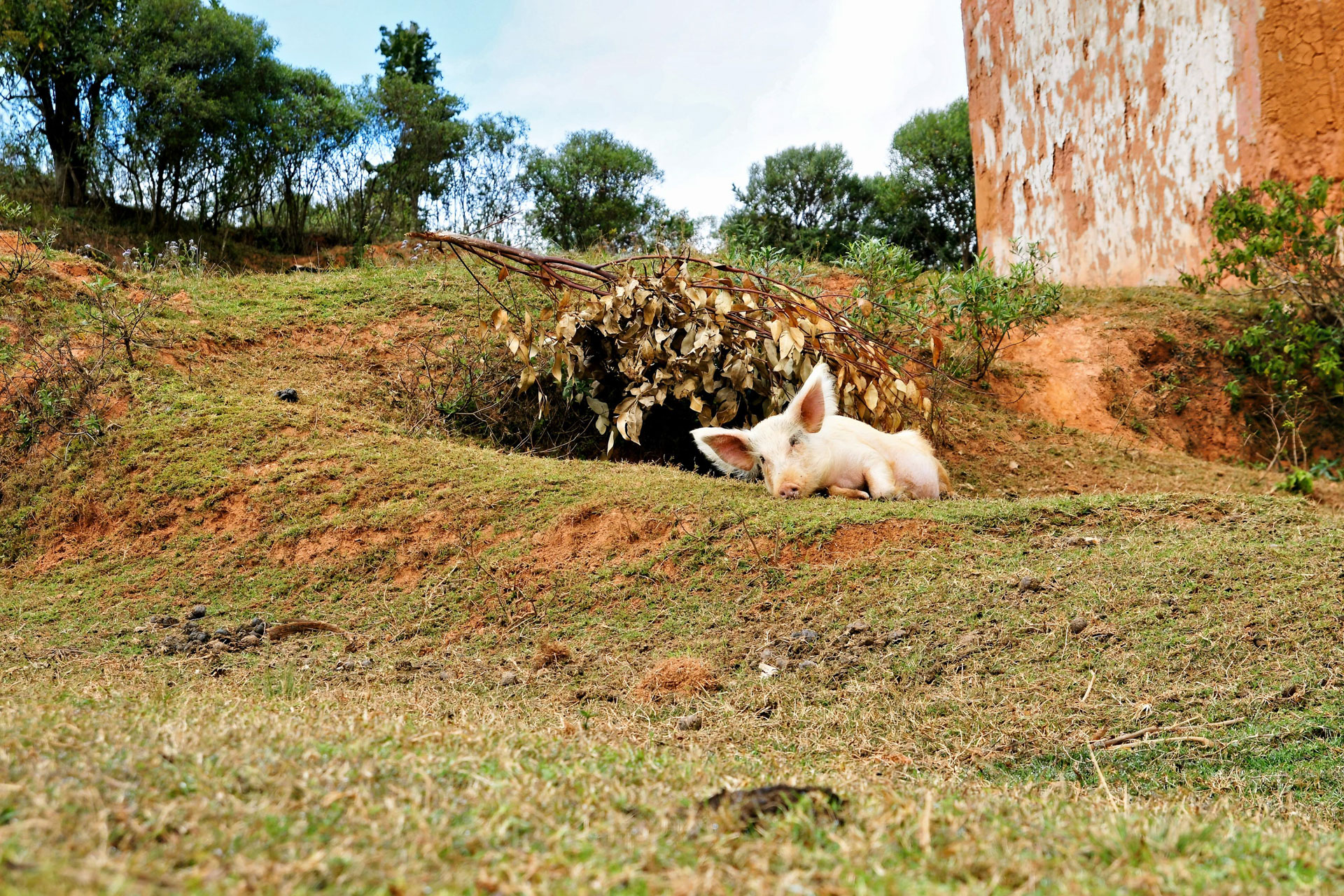 Wanderung in der Umgebung von Ambositra